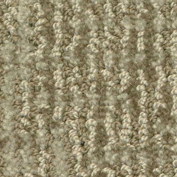 Dixie Home Seagate Zorro