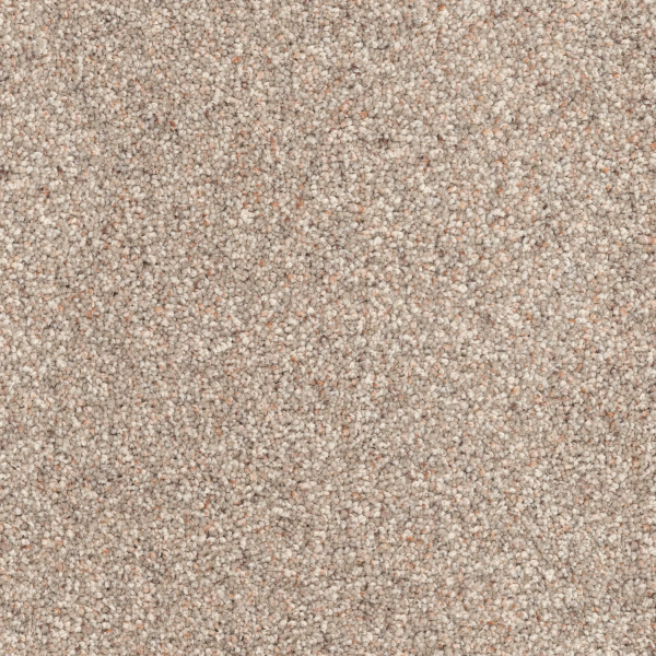 Dixie Home Great Dane Canine