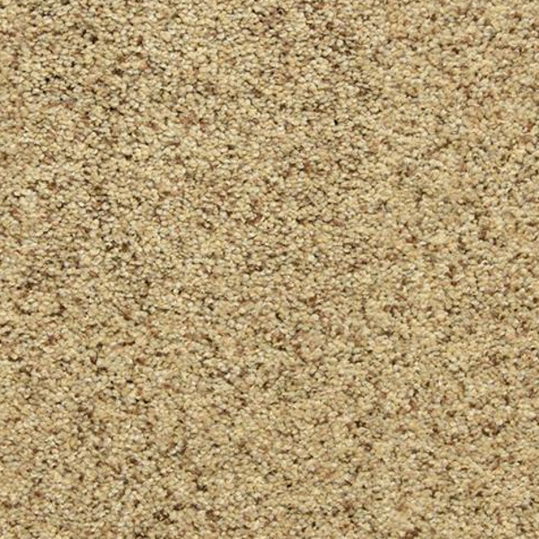 Dixie Home Star Power Oatmeal Raisin