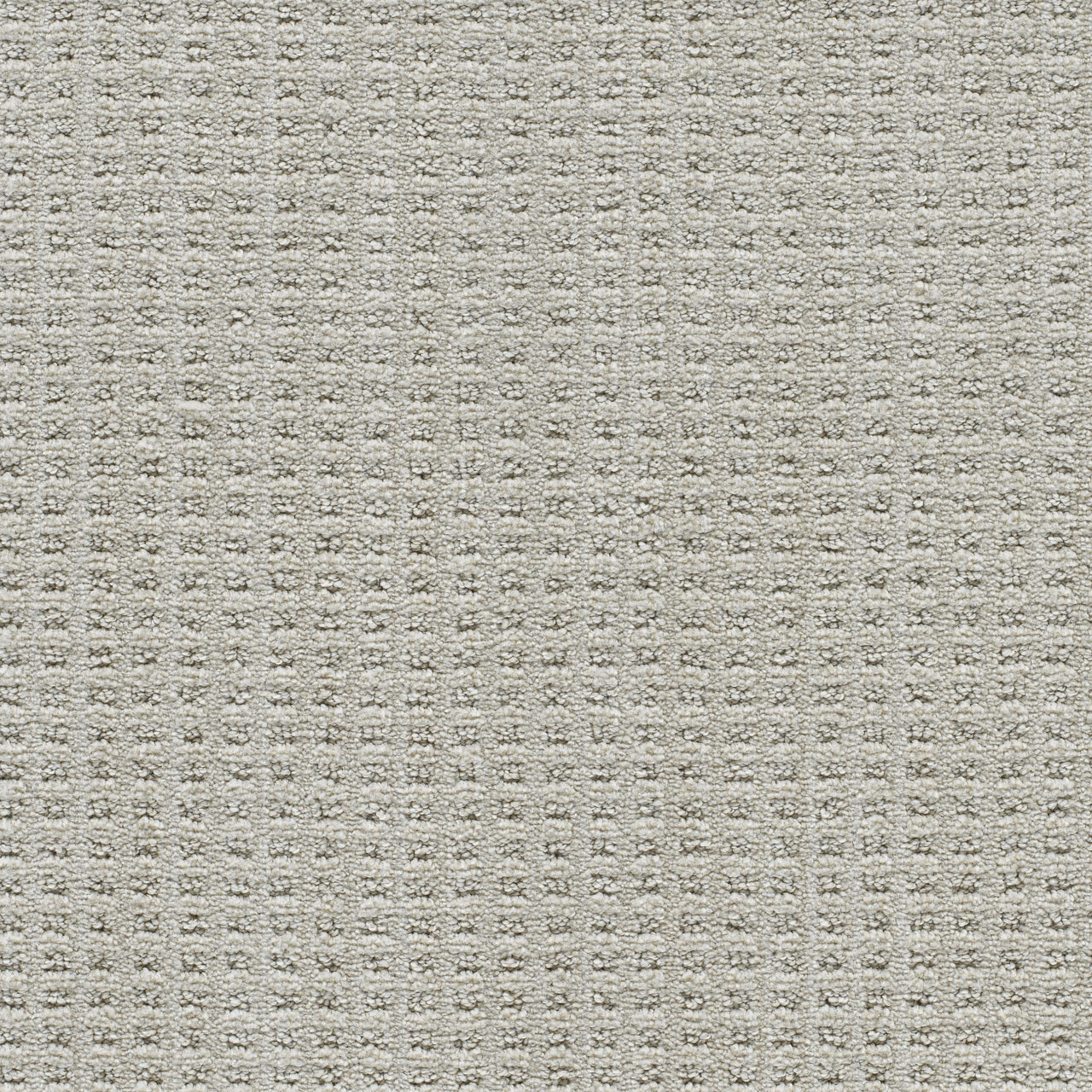 DW Select Carpet Dublin II Cabra DREAMWEAVER