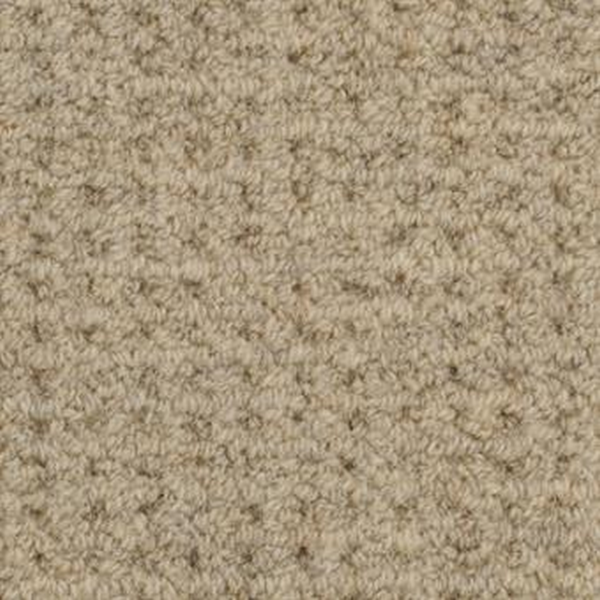 Masland Carpets Etchings Marble Edge Masland