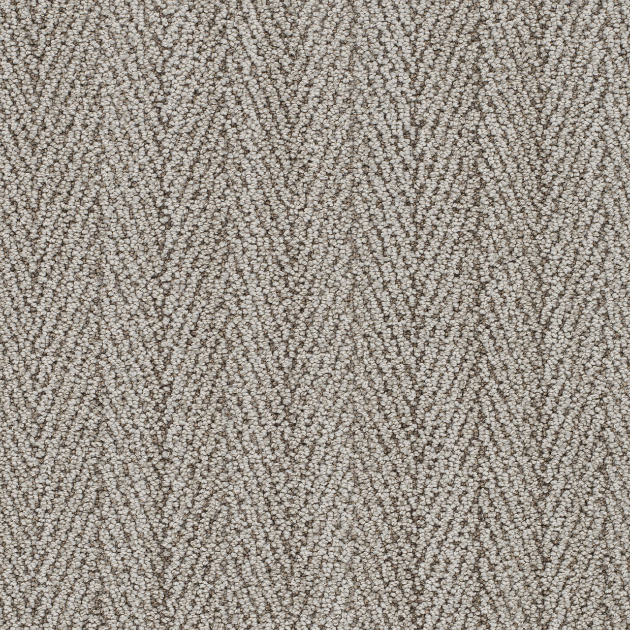 DW Select Carpet San Lucas II Giovanni DREAMWEAVER