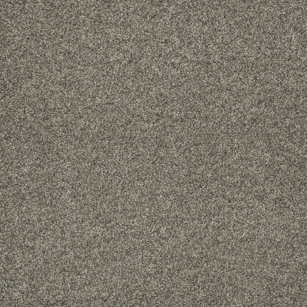 Dreamweaver Carpet Astounding III Baymont DREAMWEAVER