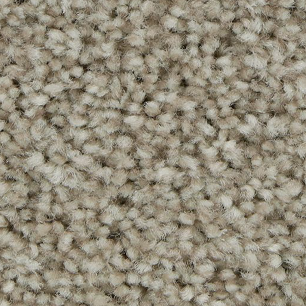 Horizon Carpet Polished Shades II Cypress Mohawk