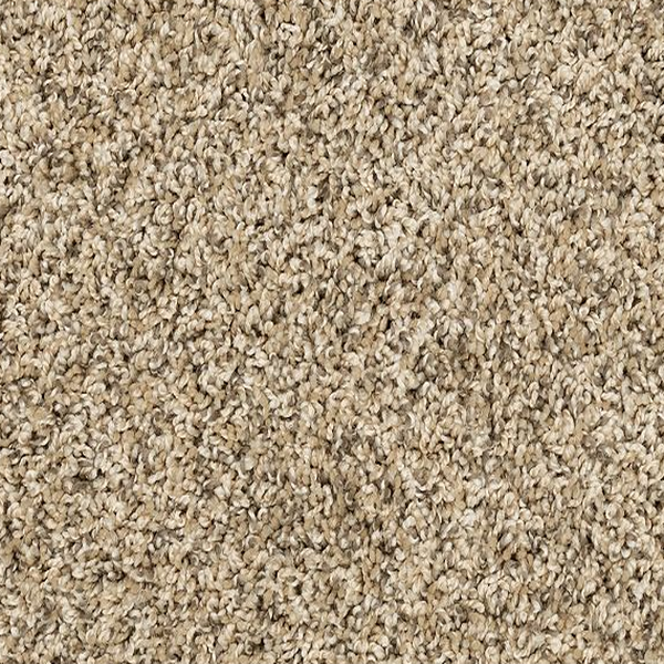 Mohawk Carpet Raise The Woof I Bisque Mohawk