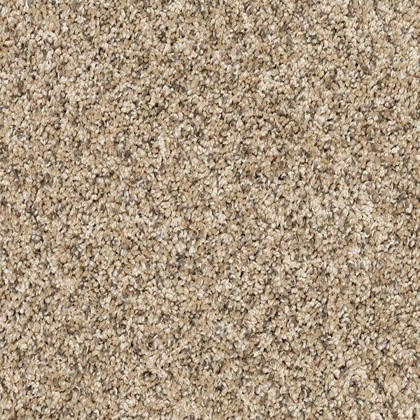 Mohawk Carpet Claws And Effect II Bisque Mohawk