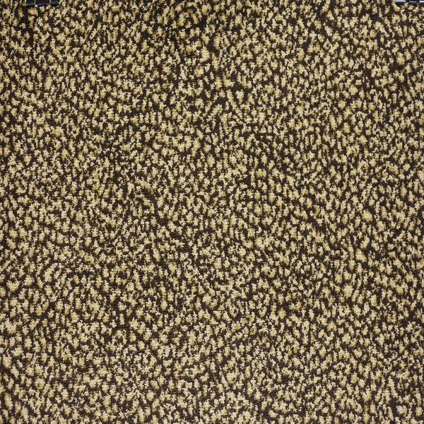 Kane Carpet Sophisticated Skins Napolean KANE