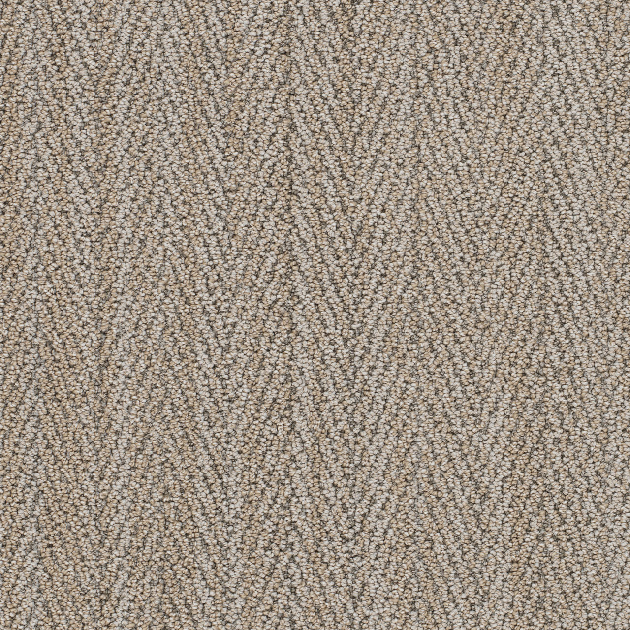 DW Select Carpet San Lucas II Rancho DREAMWEAVER
