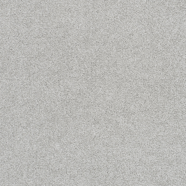 Dreamweaver Carpet East Hampton Morning Dove DREAMWEAVER