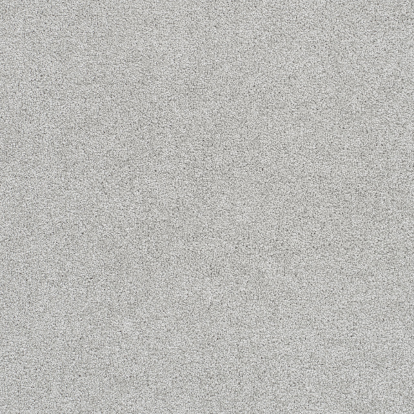 Dreamweaver Carpet Star Struck Morning Dove DREAMWEAVER