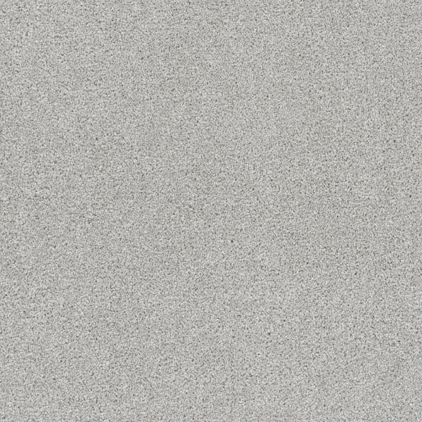 Dreamweaver Carpet Rock Solid I Morning Dove DREAMWEAVER