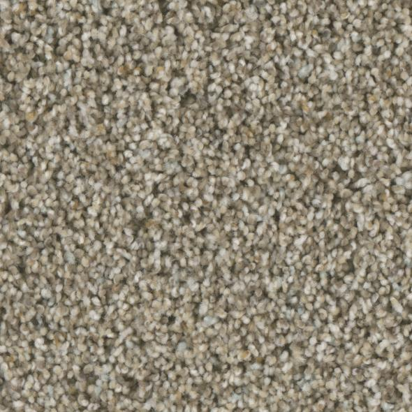 Phenix Carpets Accolades Respect PHENIX