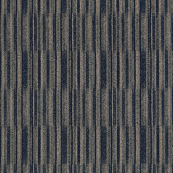 Philadelphia Commercial Cutaway Portion Shaw