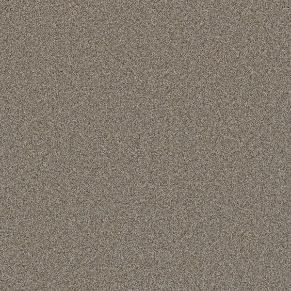 Dreamweaver Carpet Cosmopolitan II Iron Frost DREAMWEAVER