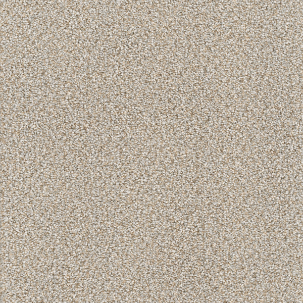 Dreamweaver Carpet Star Struck Iron Frost DREAMWEAVER
