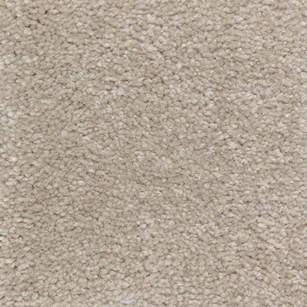 Mohawk Carpet Classical Design I 12' Cappuccino Mohawk