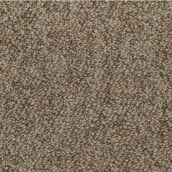 Mohawk Carpet Enduring Amazement Kodiak Mohawk