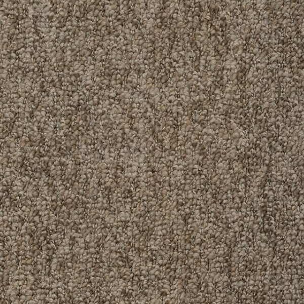 Mohawk Carpet Pristine Sensation Kodiak Mohawk