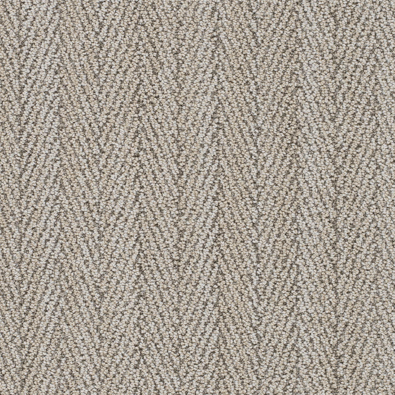 DW Select Carpet San Lucas II El Camino DREAMWEAVER