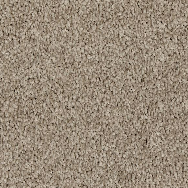 Mohawk Carpet Up The Ante Island Taupe Mohawk