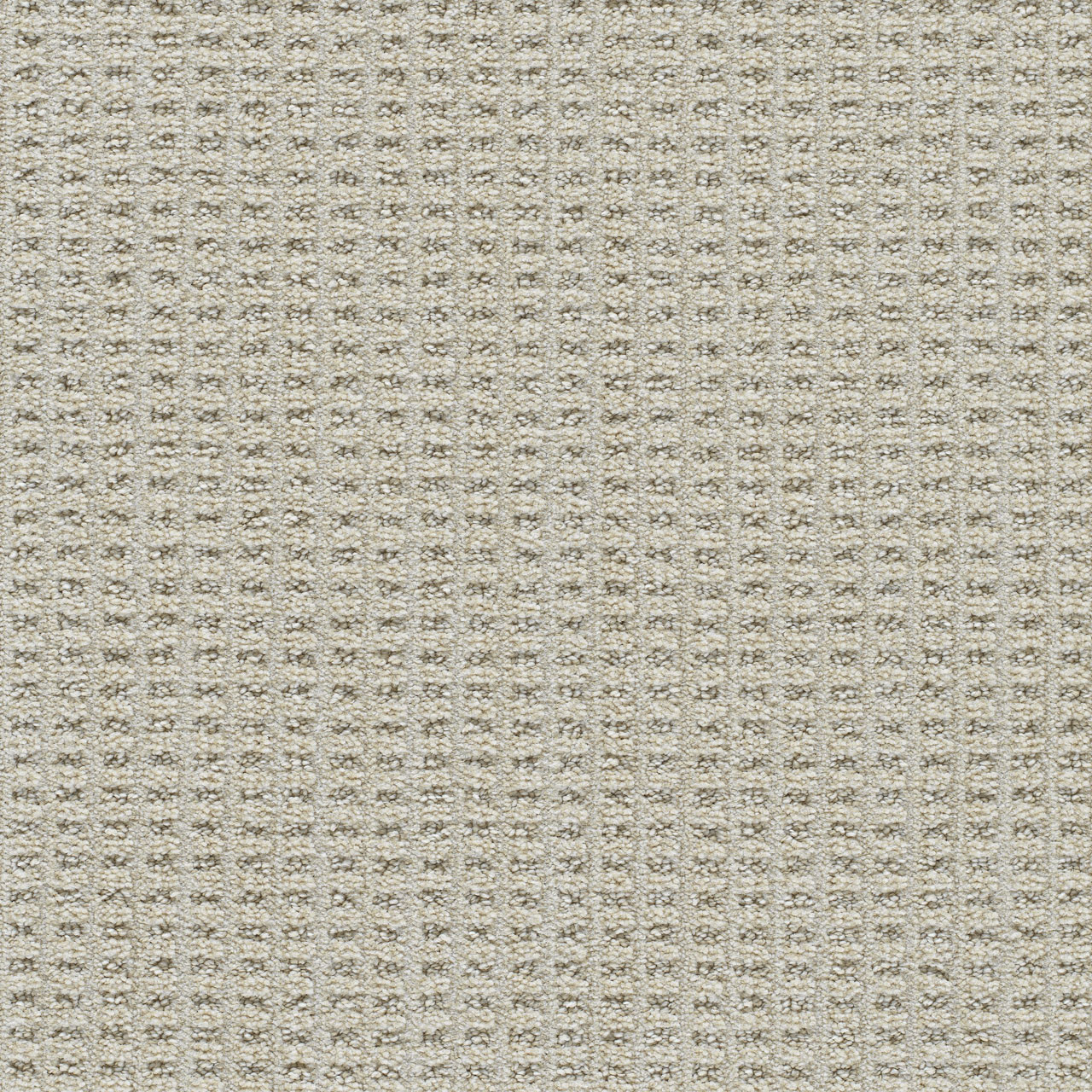 DW Select Carpet Dublin II Dundrum DREAMWEAVER