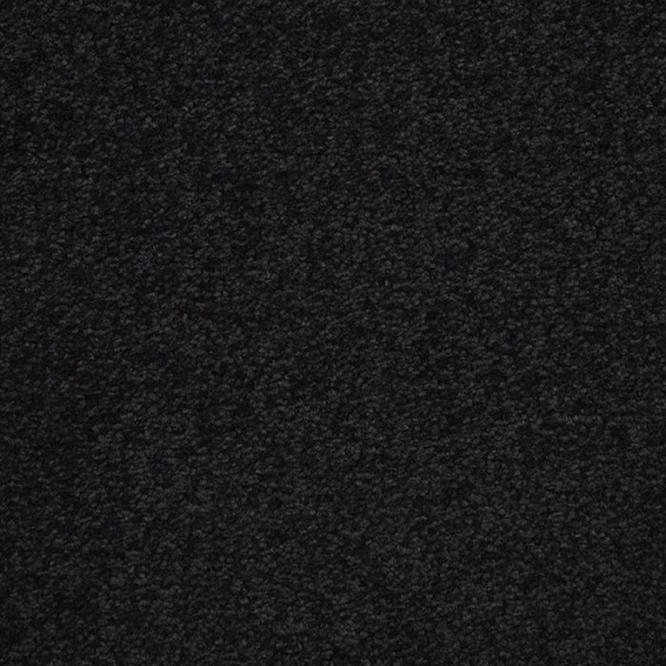 Masland Carpets Patriot Asteroid Masland