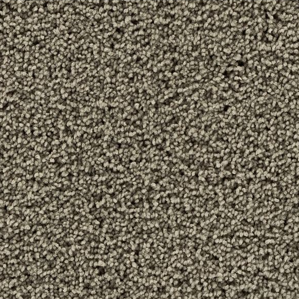 Mohawk Carpet Gentle Path Explorer Mohawk