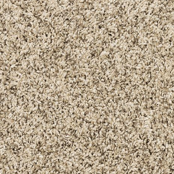 Mohawk Carpet Purrsonality II Hazelnut Mohawk