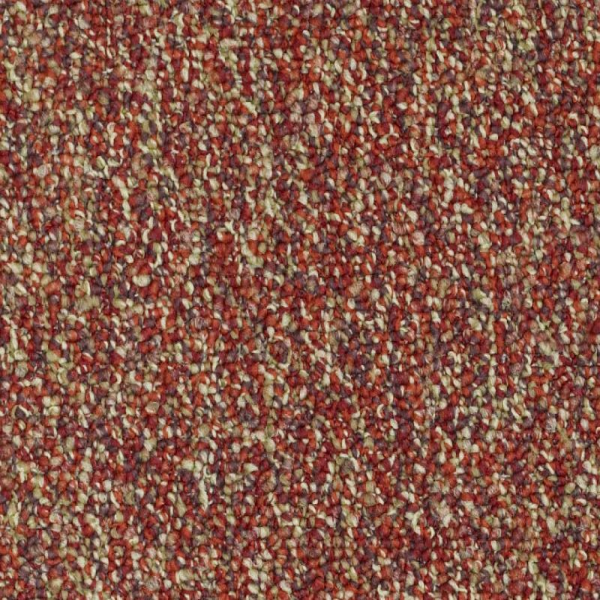 Shaw Floors Invincible 26 Raisinberry SHAW