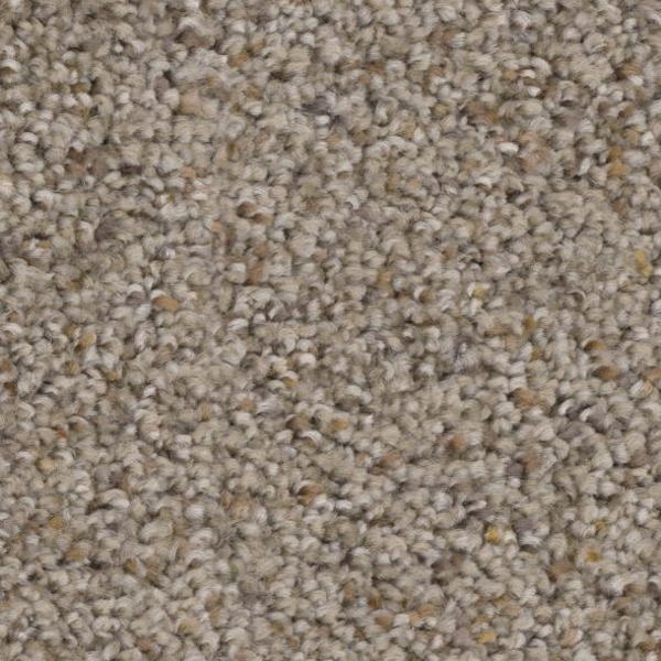 Phenix Carpets Appealing Pitch PHENIX