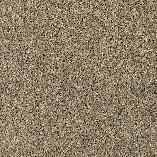 Mohawk Carpet Sophisticated Tones Blended Tan Mohawk