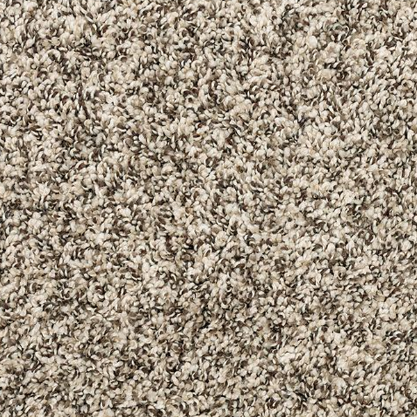 Mohawk Carpet Purrsonality III Cascade Mohawk