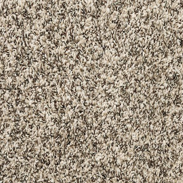 Mohawk Carpet Canine Chic Cascade Mohawk