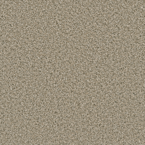 Dreamweaver Carpet Dazzling Linen DREAMWEAVER
