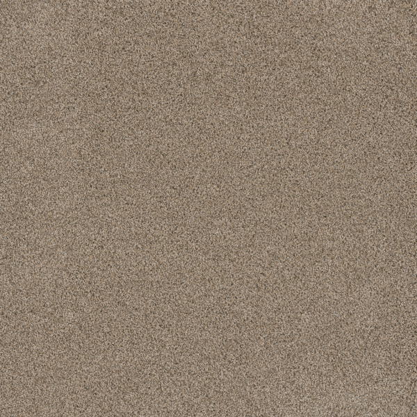 Dreamweaver Carpet Stunning Linen DREAMWEAVER