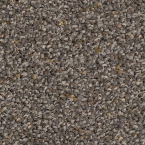 Phenix Carpets Appealing Snare PHENIX