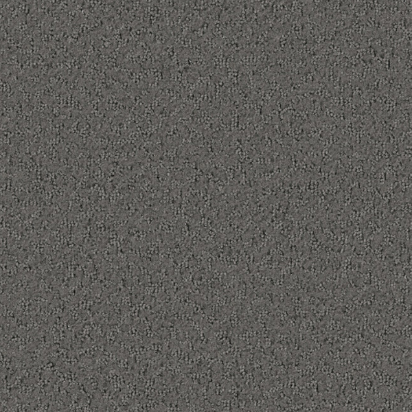 Tarkett Home Carpets Promenade Stone LEXMARK