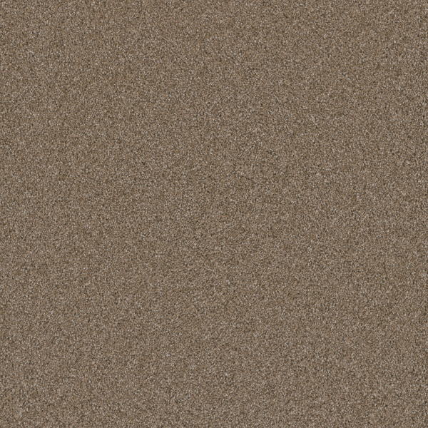 Dreamweaver Carpet Cosmopolitan II Wicker DREAMWEAVER