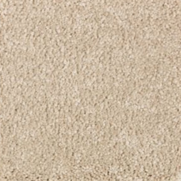 Mohawk Carpet Elegant Appeal III Ancient Scroll Mohawk