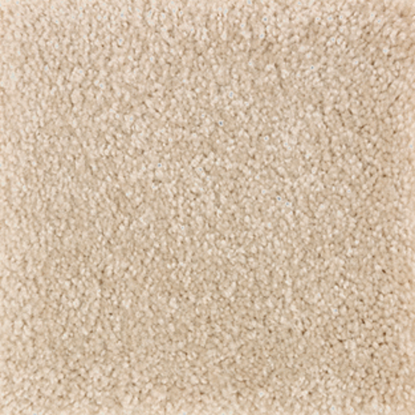 Mohawk Carpet Homefront I Honeywood Mohawk