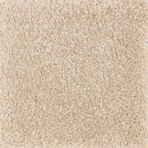 Mohawk Carpet Homefront II Honeywood Mohawk