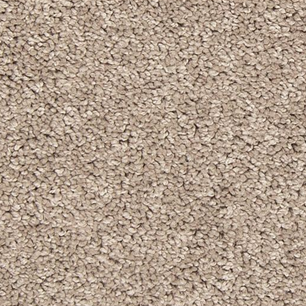 Mohawk Carpet Tectonic Century Blush Mohawk