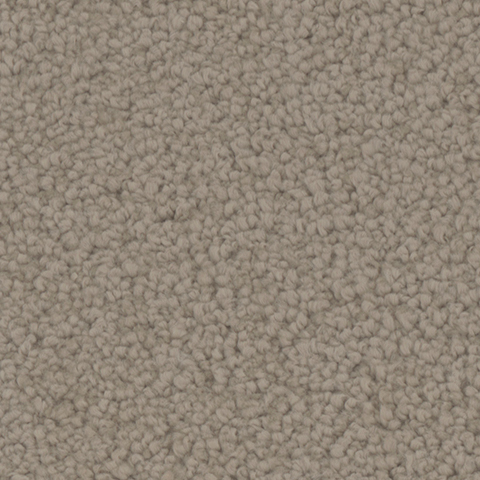 Tarkett Home Carpets Manchester Stable LEXMARK