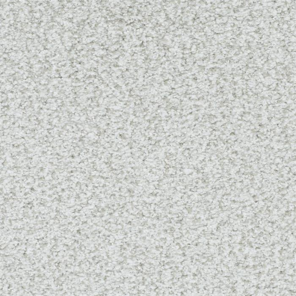 Masland Carpets St Augustine Survival Grey Masland