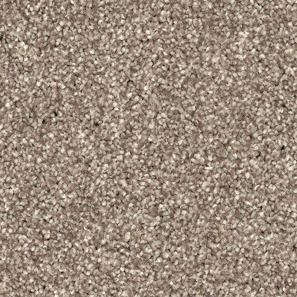 Horizon Carpet Quality Life Dock Mohawk