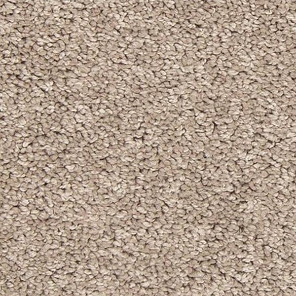 Mohawk Carpet Up The Ante Harmonious Mohawk