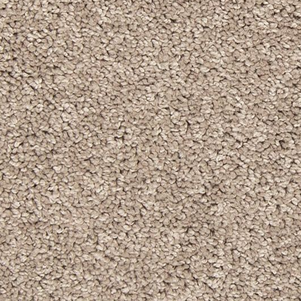 Mohawk Carpet Tectonic Havana Mohawk