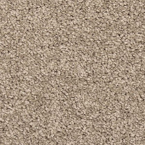 Mohawk Carpet Vitalize II Havana Mohawk