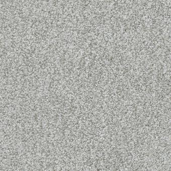 Masland Carpets Boca Raton Persistent Masland