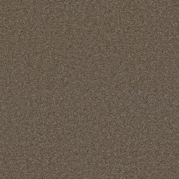 Dreamweaver Carpet Exceptional II Tumbleweed DREAMWEAVER